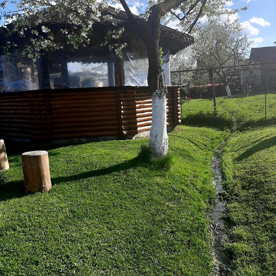 Pensiunea Denisa Stoian Moieciu de Jos Exterior photo