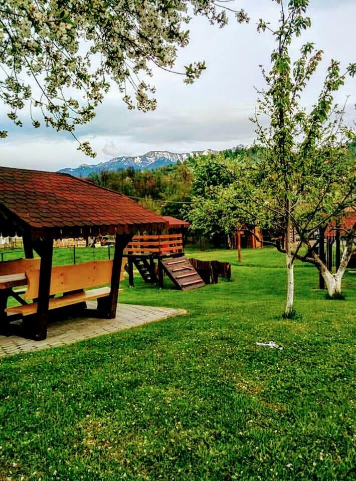 Pensiunea Denisa Stoian Moieciu de Jos Exterior photo